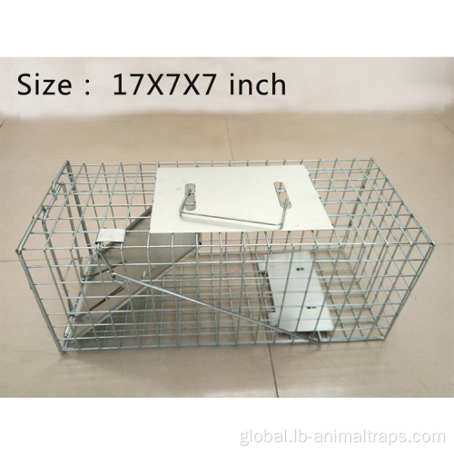 Medium Animal Cage Trap Humane live catch animal trap cage Manufactory